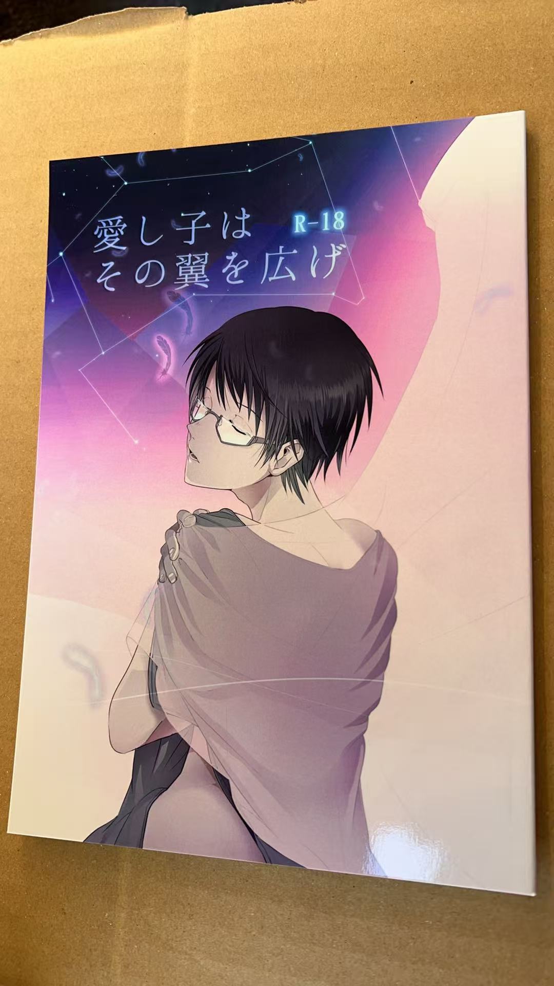 爱し子はR-18 その翼を広げ
