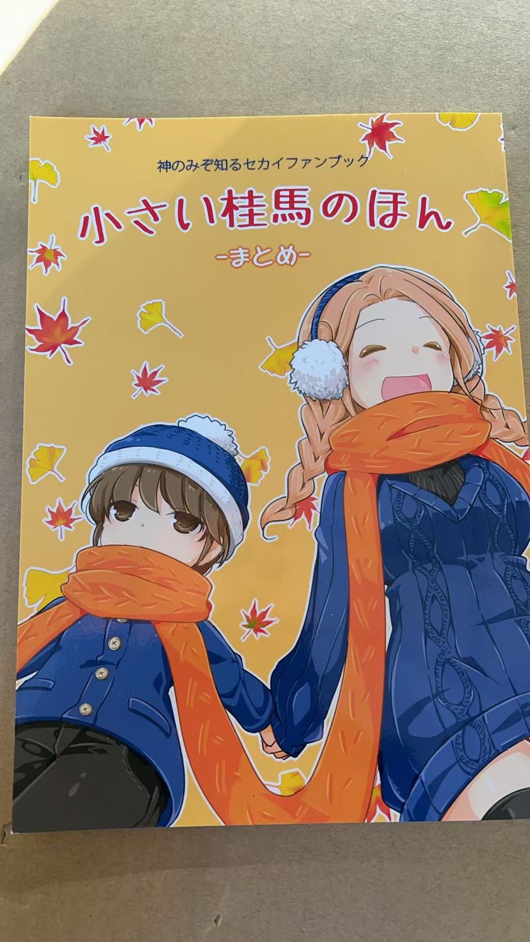 神のみぞ知るセカイファンブック小さい桂馬のほん-まとめ-